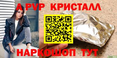 дмт Кингисепп