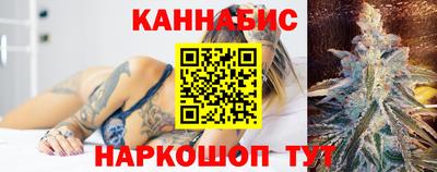 дмт Кингисепп