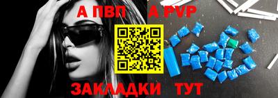 дмт Кингисепп