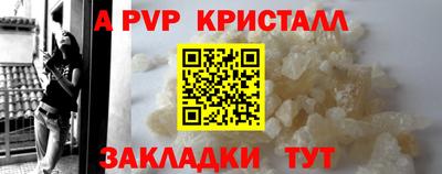 дмт Кингисепп