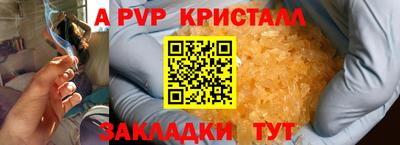 дмт Кингисепп