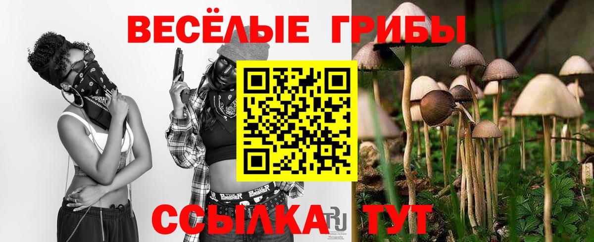 Псилоцибиновые грибы Psilocybine cubensis Кудымкар